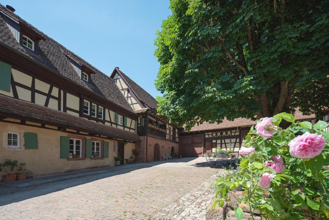 Au Fil Du Temps Acomodação com café da manhã Imbsheim Exterior foto